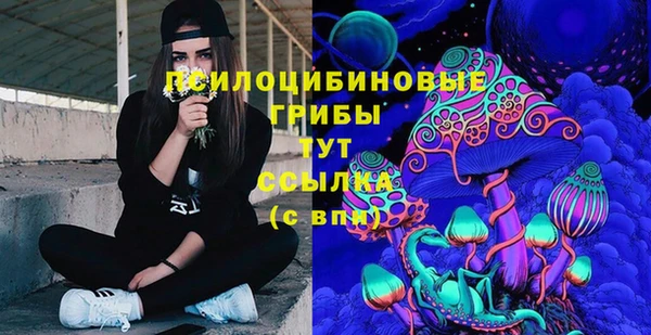 сатива Балахна
