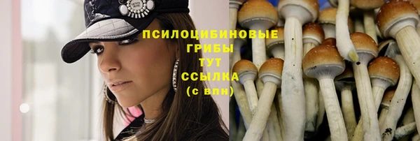 сатива Балахна