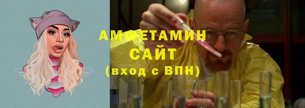 сатива Балахна