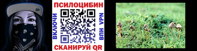 hydra зеркало  shop телеграм  Галлюциногенные грибы Psilocybe  Подпорожье 